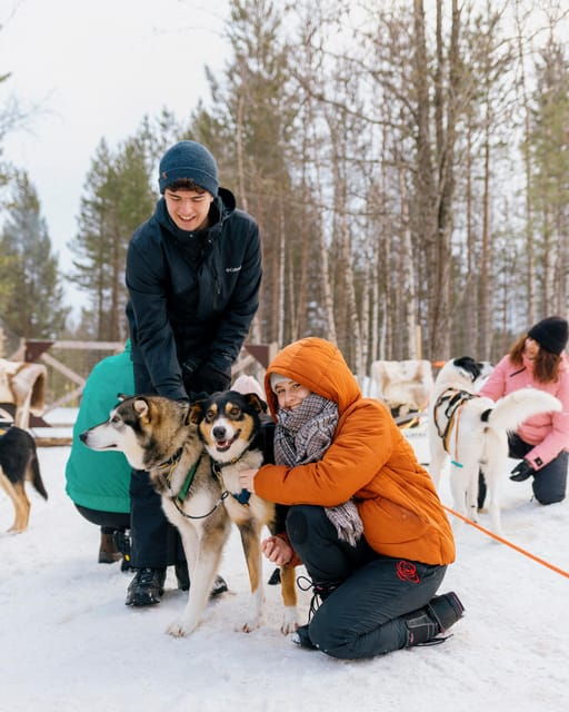 saariselka-husky-safari-with-kennel-visit