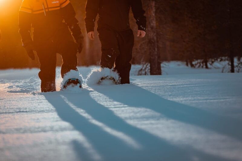 saariselka-northern-lights-hunting-snowshoe-trip