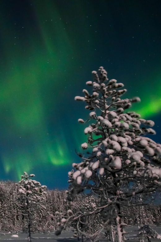 saariselka-northern-lights-hunting-snowshoe-trip