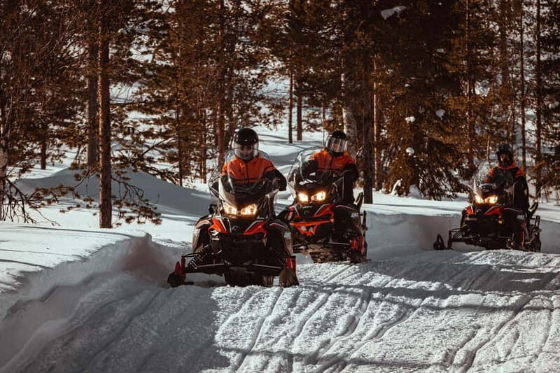 Saariselkä: One Hour Snowmobile Safari - The Practicalities: What You Need to Know