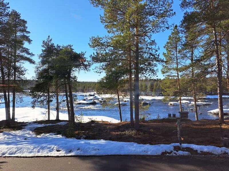 Saariselkä: Trip to Jäniskoski and Sámi Museum Siida - An Overview of the Day: From Forest Trails to Cultural Treasures