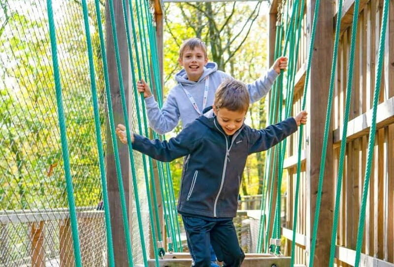 Saarland: Treetop Walk Saarschleife & Lookout Tower - Key Points