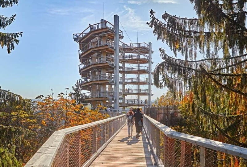 Saarland: Treetop Walk Saarschleife & Lookout Tower - The Sum Up