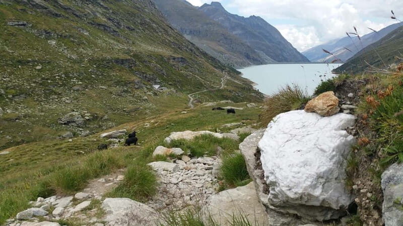 Saas-Fee private guided city tour - Exploring Saas-Fee: A Guided Journey Through Swiss Charm