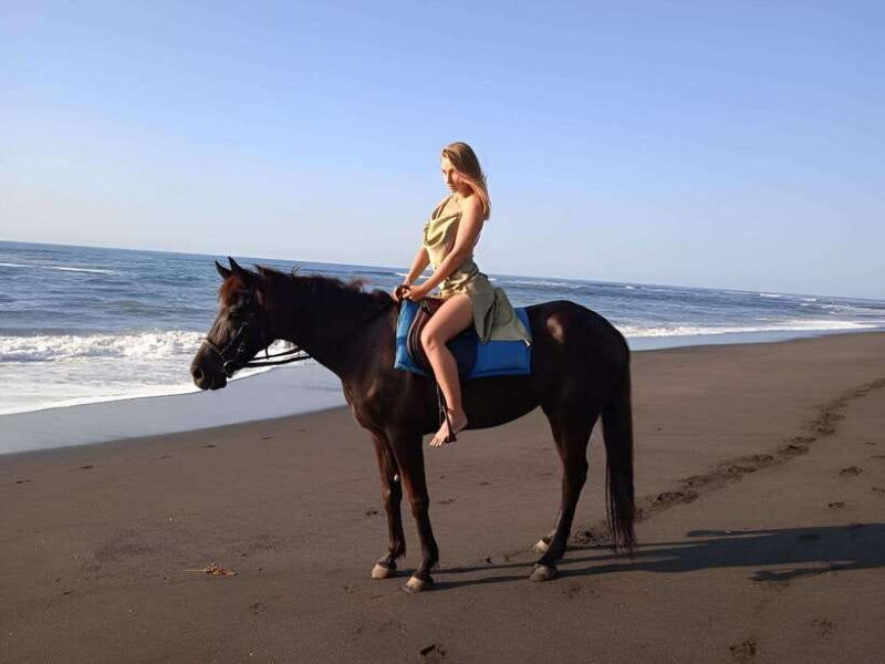 saba-beach-horse-riding-turtle-release-experience