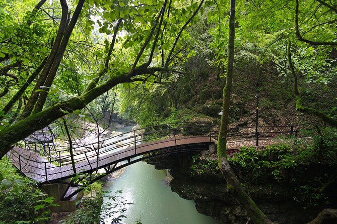 sabaduri-forest-chronicles-of-georgia-wolves-and-bears-zoo-2