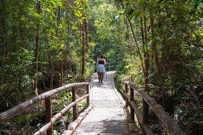 Sabah 1 Day/2 Days/3 Days Outskirt Private Charter Service - The Sum Up