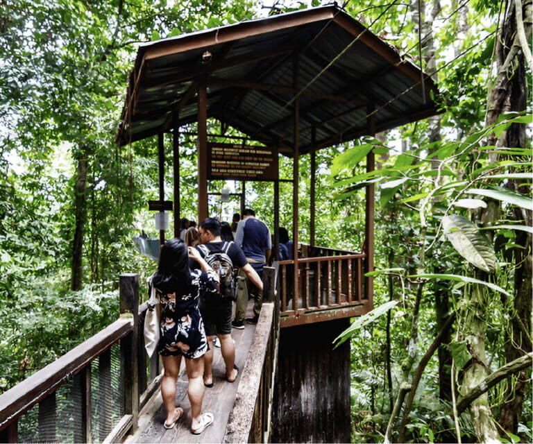 Sabah: Kinabalu Park, Hot Springs, and Cow Farm Day Tour - Returning to Kota Kinabalu