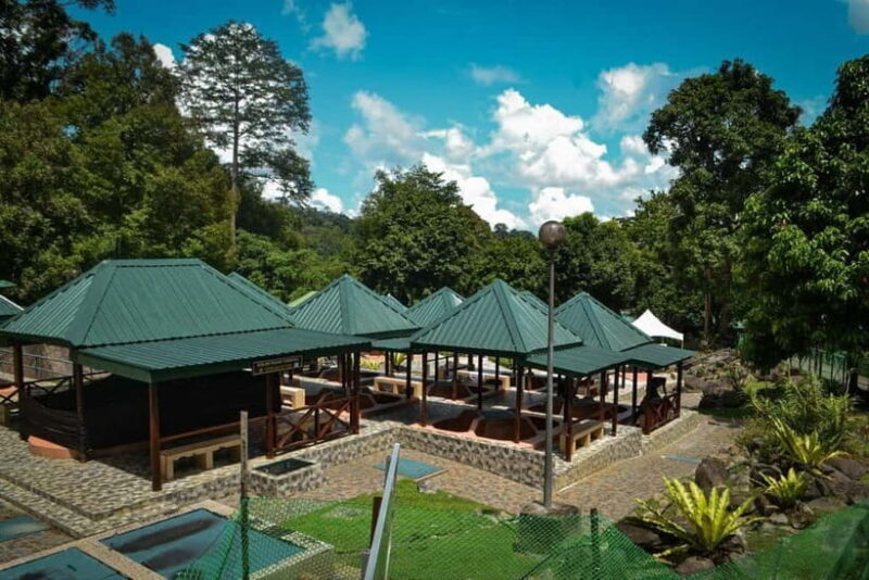 Sabah: Kinabalu Park, Poring Hot Springs & Desa Farm Tour - In-Depth Review of the Sabah: Kinabalu Park, Poring Hot Springs & Desa Farm Tour