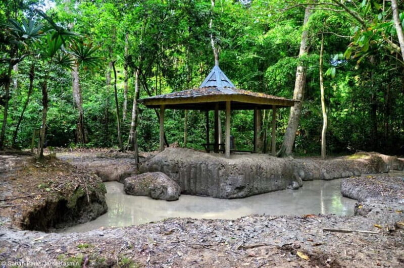 Sabah: Pulau Tiga Snorkeling Day Trip with Lunch - Introduction