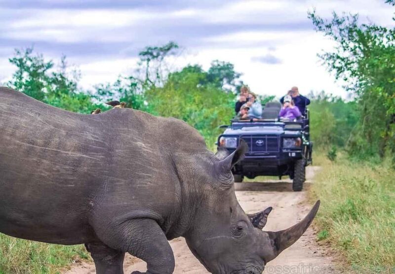 Sabi Sands Reserve Safari from Maputo 3 Days/2 Nights - Does the Price Match the Experience?