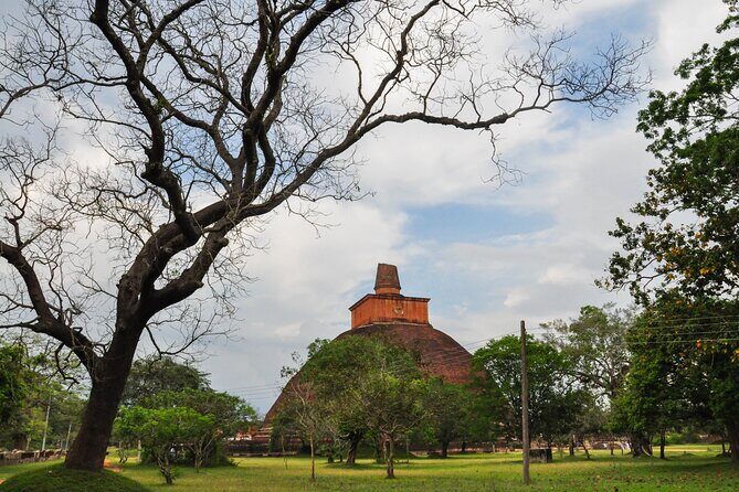 Sacred City of Anuradhapura from Sigiriya - Exploring the Itinerary: What Makes Each Stop Special