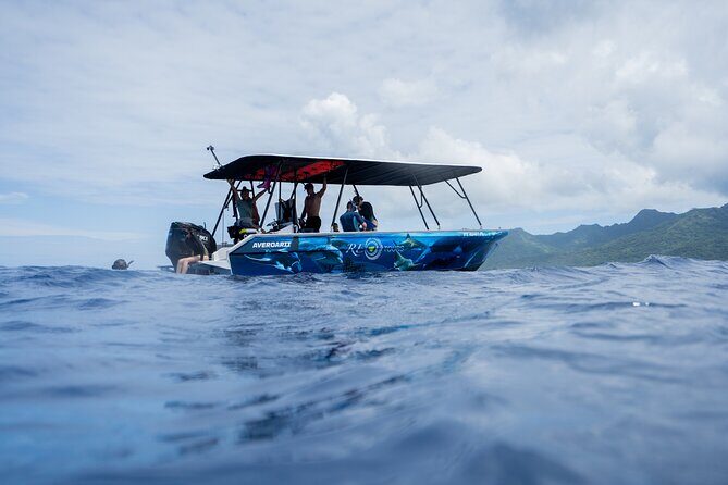 Sacred Experience Swimming with a Whale in Moorea - Who Will Love This Tour?