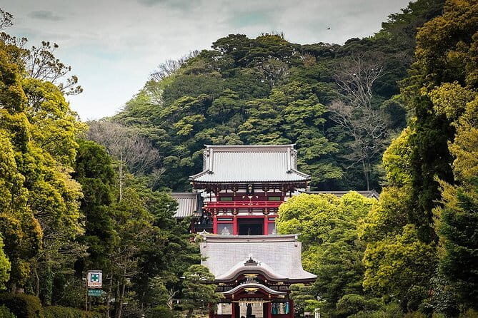 Sacred Giants and Hidden Caves: A Kamakura Journey Through Time - Who Should Consider This Tour?