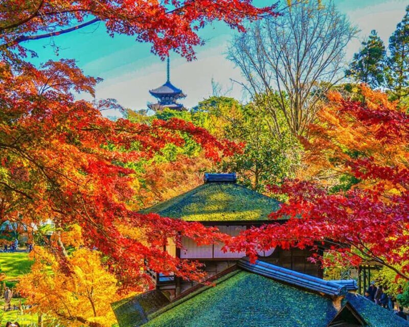 Sacred Kamakura & Yokohama Full-Day Tour with English Guide - Final Thoughts