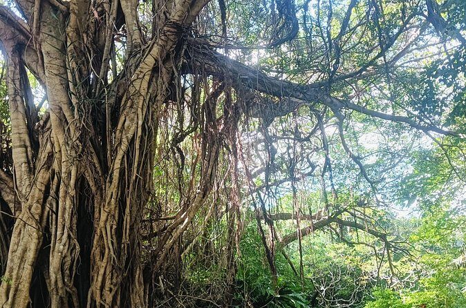 Sacred Meditation Tour in Itoman City - An In-Depth Look at the Sacred Meditation Tour