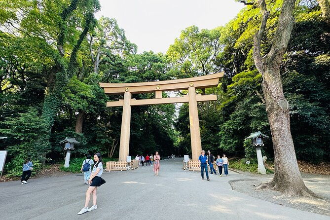 sacred-morning-walk-and-brunch-meiji-shrine