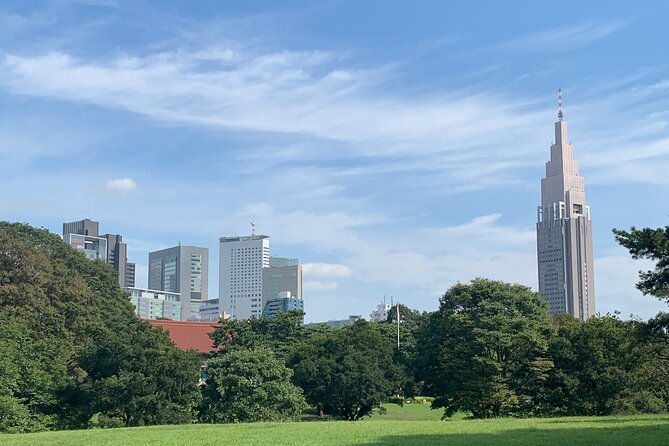 sacred-morning-walk-and-brunch-meiji-shrine