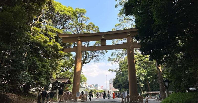 sacred-morning-walk-brunch-meiji-shrine