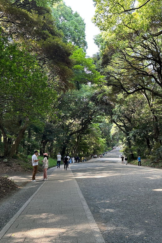 sacred-morning-walk-brunch-meiji-shrine