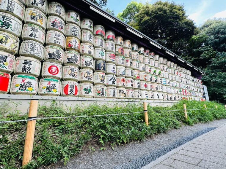 sacred-morning-walk-brunch-meiji-shrine