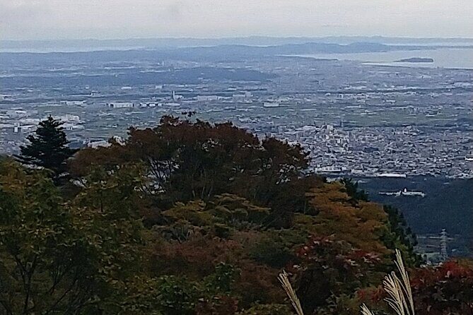 Sacred Mountain Oyama Walking Tour Culture and Nature - Authentic Experiences and Insights from Reviewers