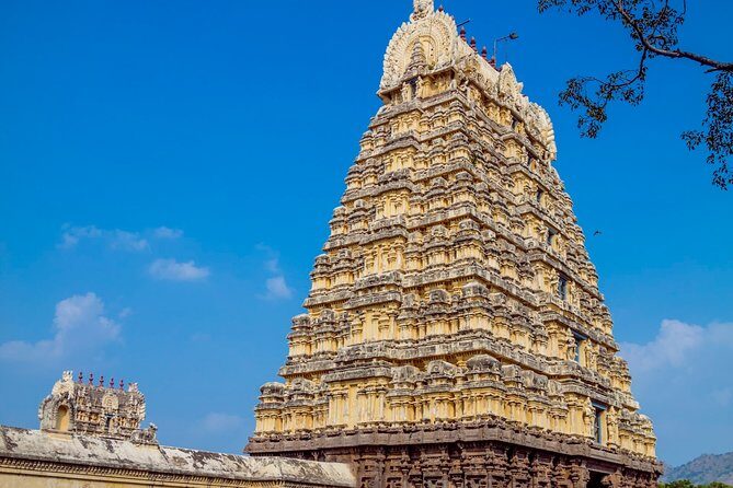 Sacred Temple Tour: Chennai to Tiruvannamalai & Golden Temple - What We Loved About This Tour