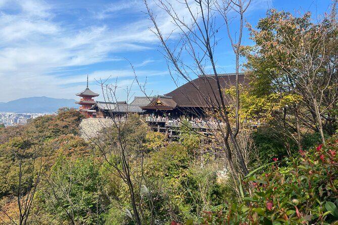 Sacred Treasure Fushimi Inari and Kiyomizu Dera Tour - Who Should Consider This Tour?