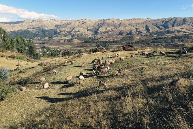 sacred-valley-machu-picchu-2-day-tour