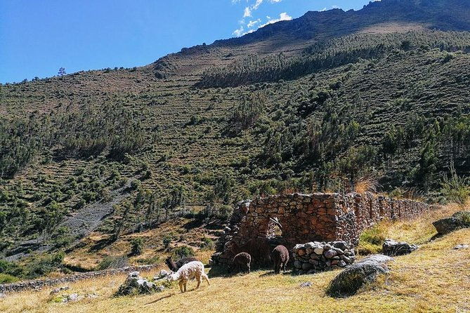 sacred-valley-of-incas-day-trip-2