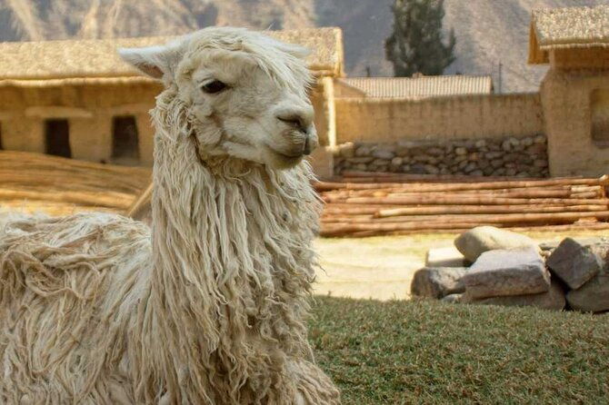 sacred-valley-of-the-inkas-premium-full-day-tour-in-peru