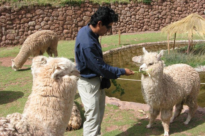 sacred-valley-tour-with-pisac-ruins-private-full-day