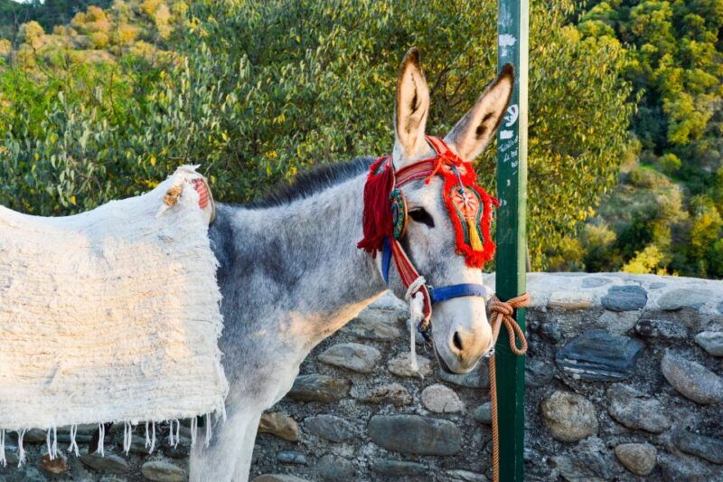 sacromonte-caves-museum-admission-ticket