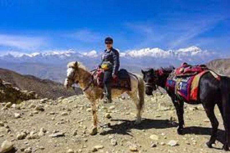 saddle-up-for-a-1-hour-horseback-riding-adventure-in-pokhara