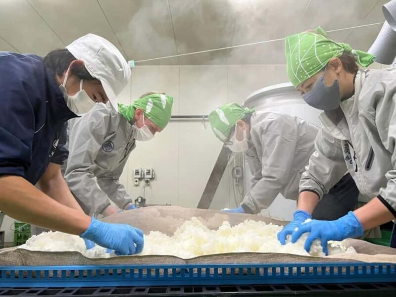 Sado Island: Obata Sake Brewery Tour and Tasting - Who Should Consider This Tour?