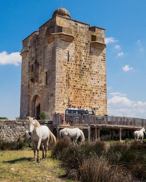 safari-4x4-in-camargue-vip-tour-3h30-grau-du-roi
