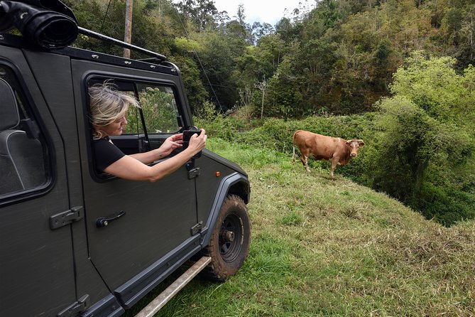 safari-4x4-pico-arieiro-santana-in-small-group-flowereast