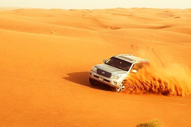 Safari and Barbecue Dinner in the Dubai Desert - Final Word