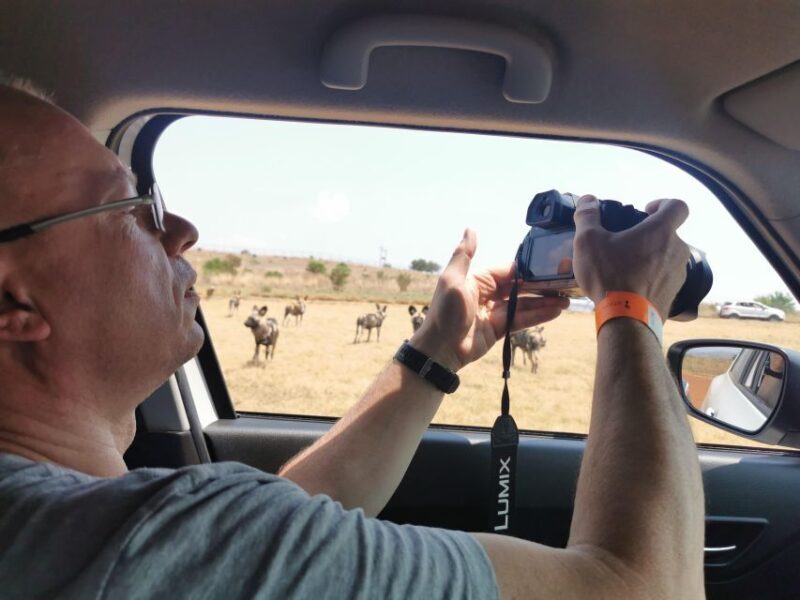 Safari at Lion and Rhino Park / Lesedi Culture Village - Practical Details and Value