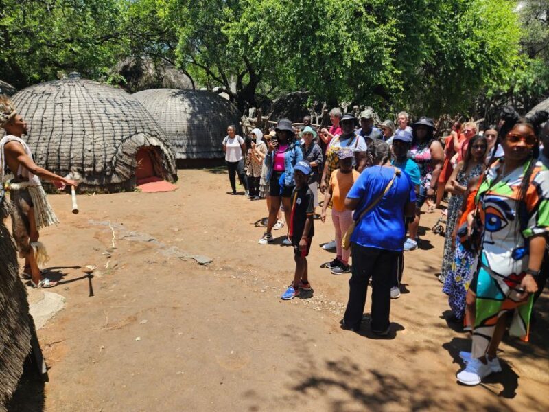 Safari at Lion and Rhino Park / Lesedi Culture Village - Who Should Consider This Tour?