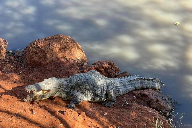 safari at the bandia reserve - The Sum Up: Is It Worth It?