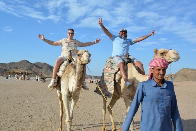Safari ATV, Buggy, Camel, Bedouin Dinner and Hurghada Show - Remember, this tour is best suited for those who want a lively, all-in-one experience with reliable guides and a friendly vibe. Be prepared for an active day and bring your camera—youre going to want to capture every moment.