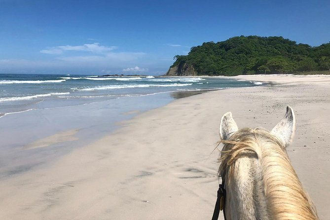 safari-barigona-beach-on-horseback