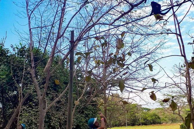 safari-barigona-beach-on-horseback