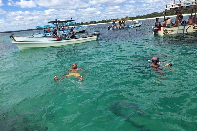 Safari blue - Discover the Magic of Safari Blue in Watamu, Kenya