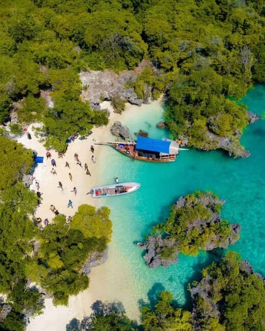 Safari blue day tour - The Sandbank Experience  