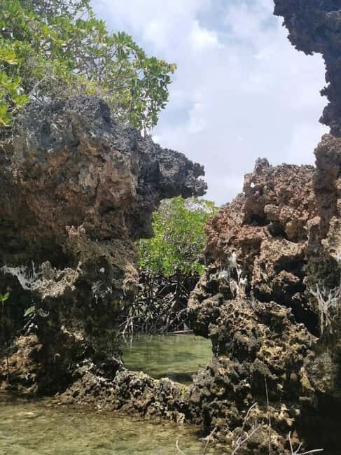 Safari blue day tour - The Seafood Feast on Kwale Island  