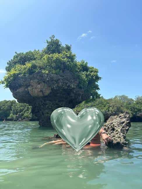 Safari blue day tour - Who This Tour Is Best For  