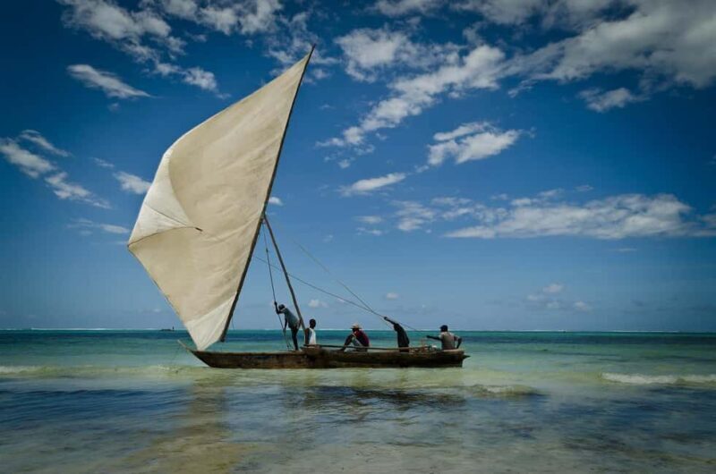 Safari Blue Full Day Trip - Safari Blue Full Day Trip: A Complete Guide to Zanzibar’s Water Wonderland
