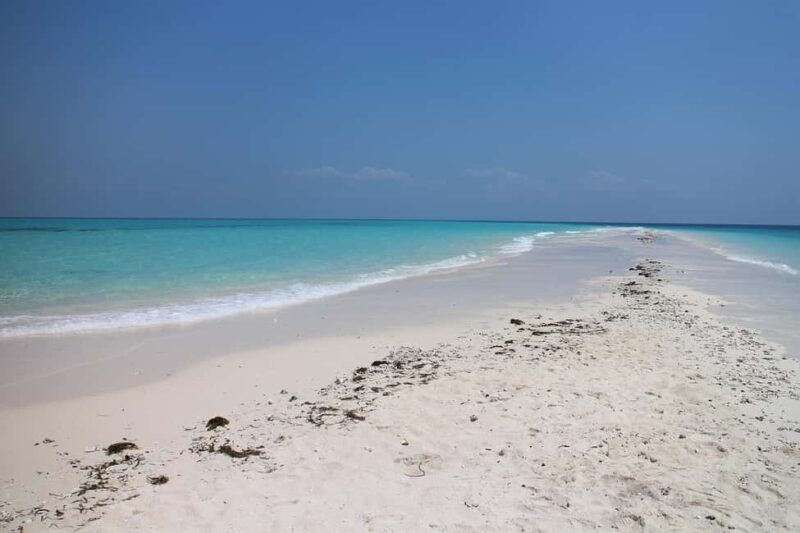 Safari Blue Full Day Trip - What’s Included and What You Need to Know